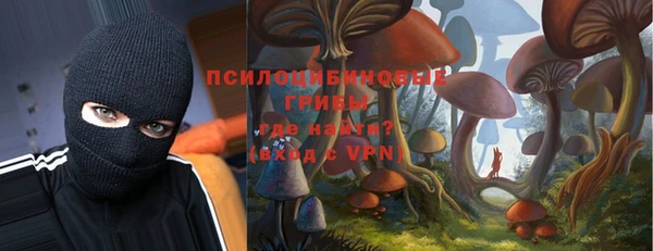 гидра Няндома