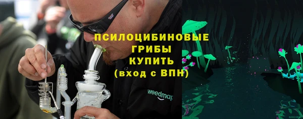 гидра Няндома