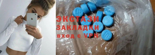 гидра Няндома