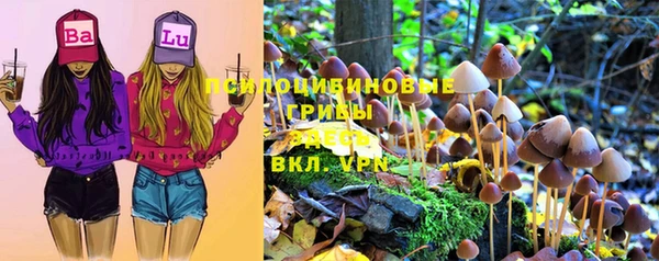 гидра Няндома