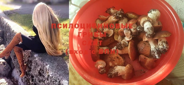 тгк Нязепетровск
