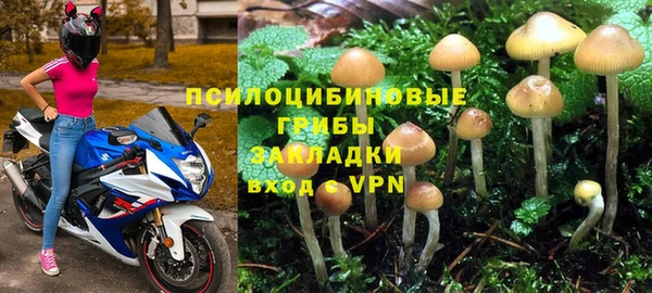 герыч Вяземский