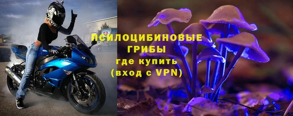 амф Абинск