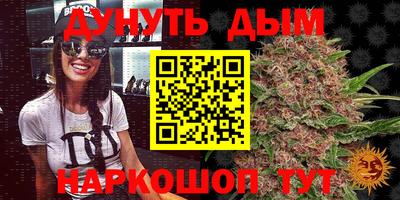 гашик Гатчина