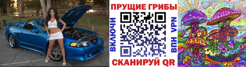 купить   OMG зеркало  Галлюциногенные грибы Cubensis  Майский 